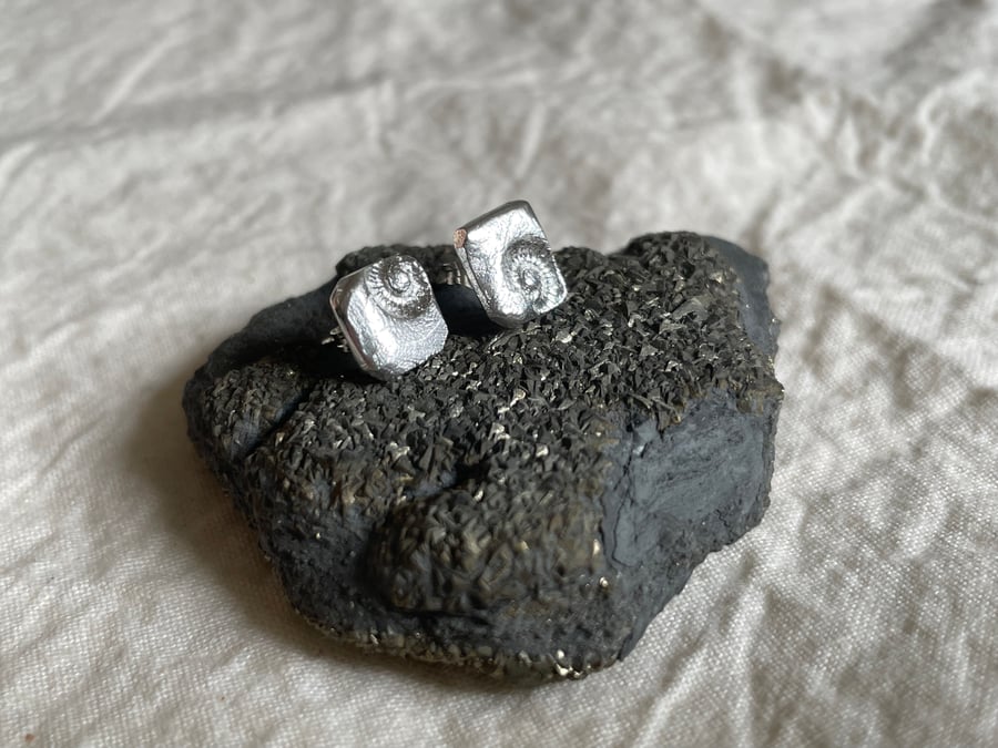 Ammonite Tablet Studs - Recycled Fine & Sterling Silver