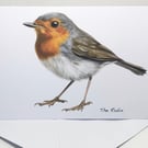 The Robin - 5 x 7in Greeting Cards and Envelope: Birthday, Christmas or Plain