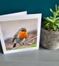 Winter Robin Large Square  Photographic Card 6" x 6" (15cm x 15cm) - Image 3