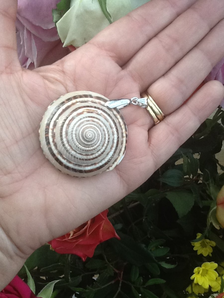 Mermaid!  Large Spiral Shell Pendant with Silver Tone Bail!