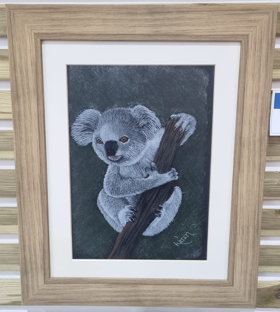 Koala
