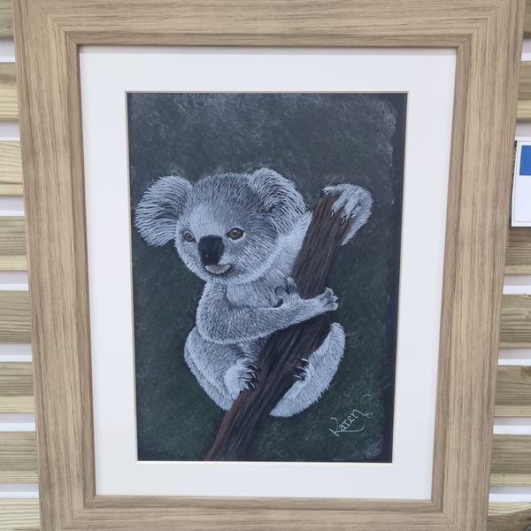 Koala