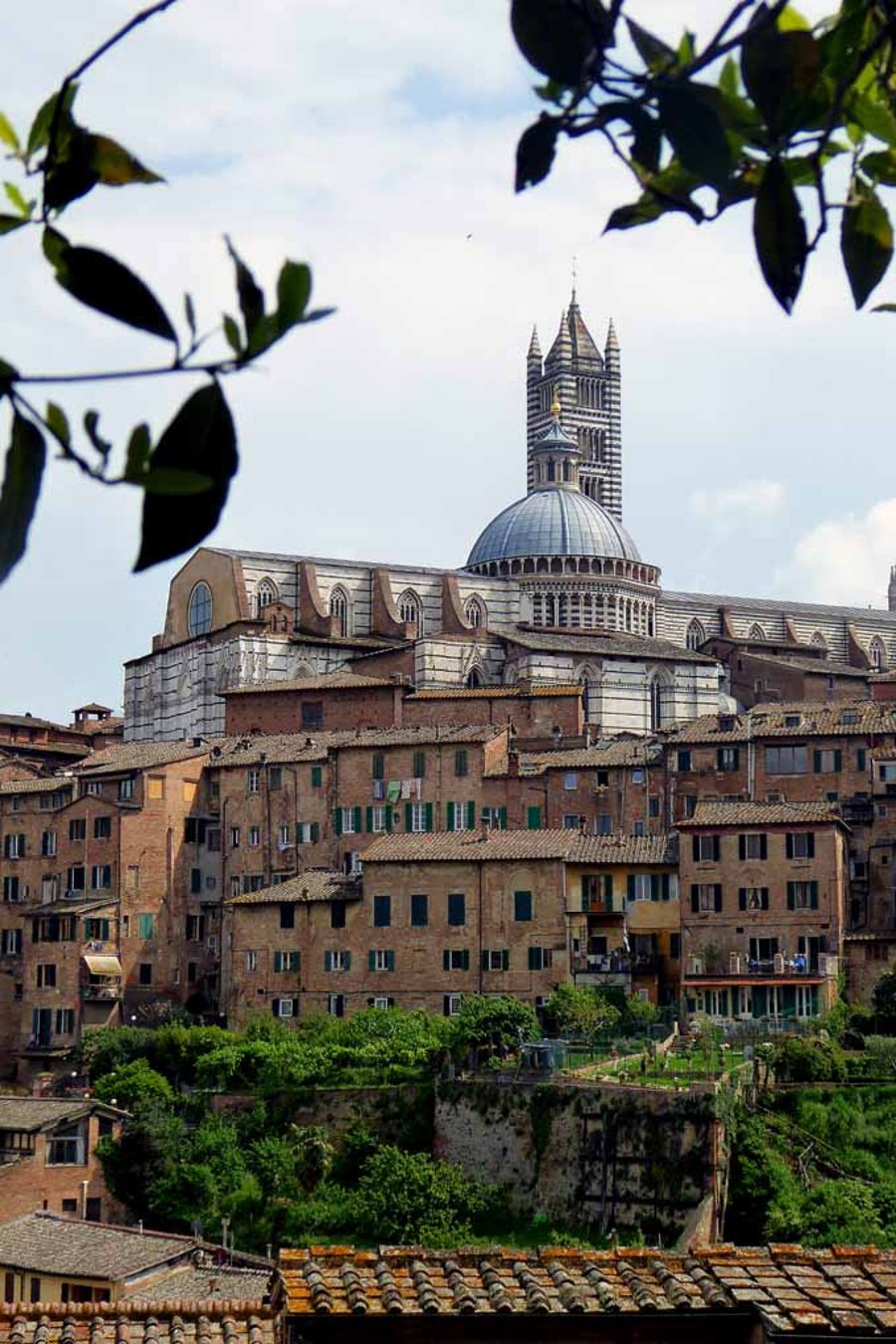 Siena Skyline Cityscape Tuscany Italy Photograph Print