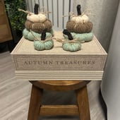 Home Treasures