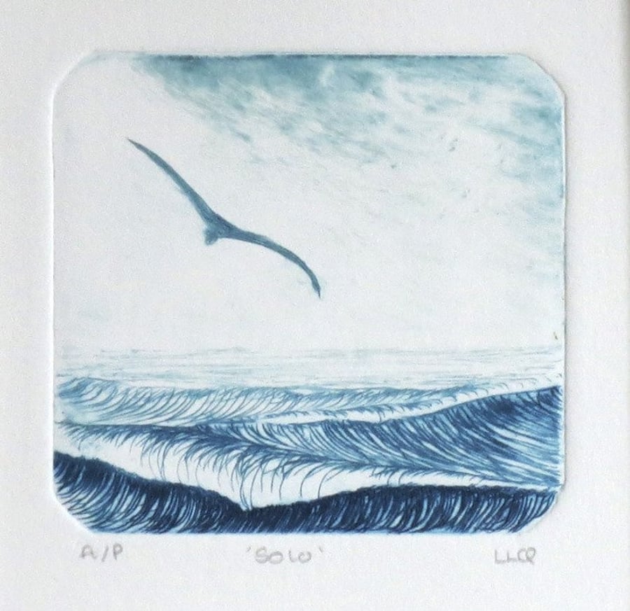 Solo an original drypoint etching of a gull gliding over choppy seas