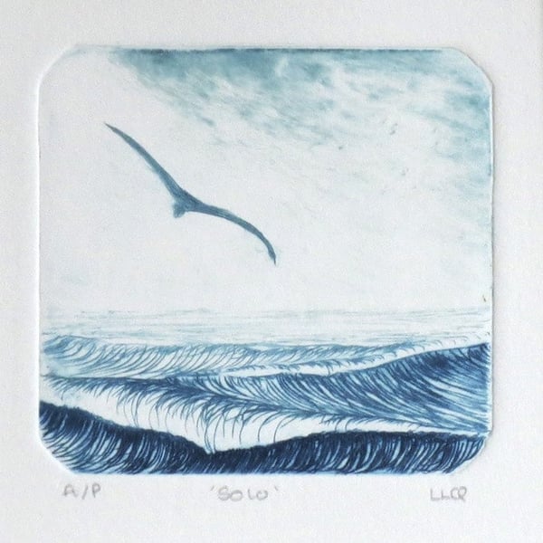 Solo an original drypoint etching of a gull gliding over choppy seas