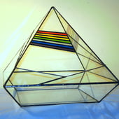 The Wardian Case co.