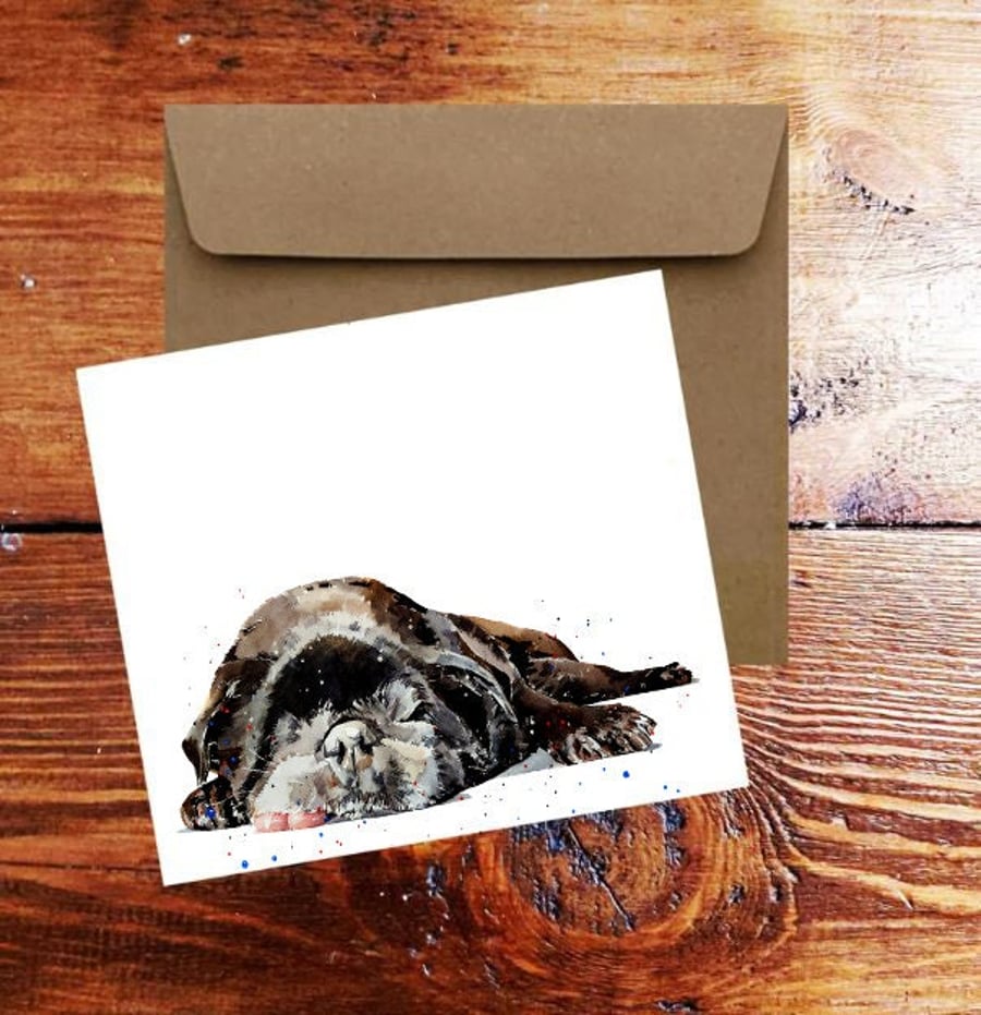 Old Pug Reclined Square Greeting Card- Pug Dog card,Pug Dog card ,Pug Dog greeti