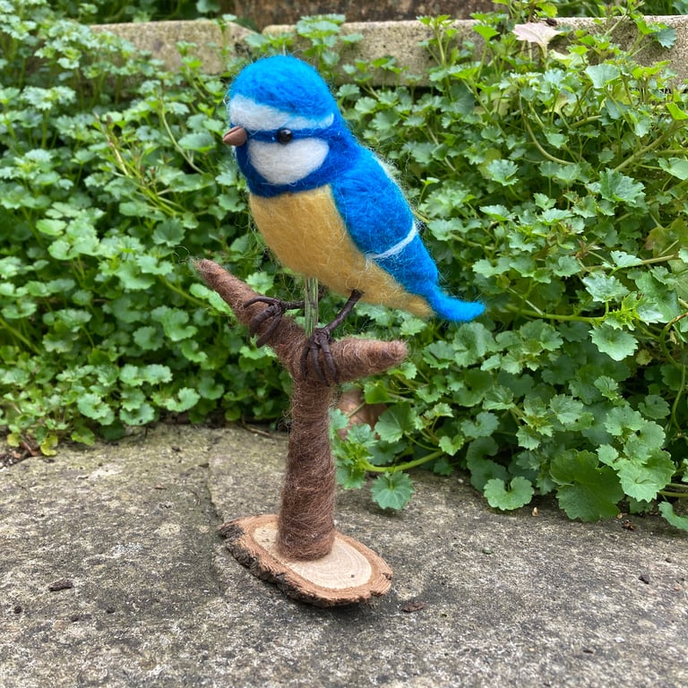 Blue tit on a branch, needle felted sculpture