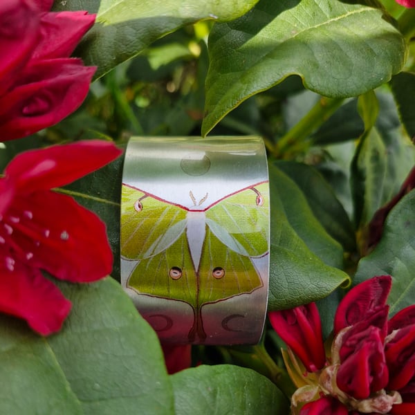 Luna Moth Cuff