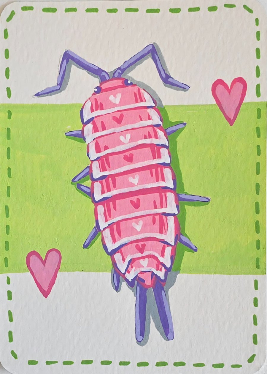 Isopod - Entemology - ACEO