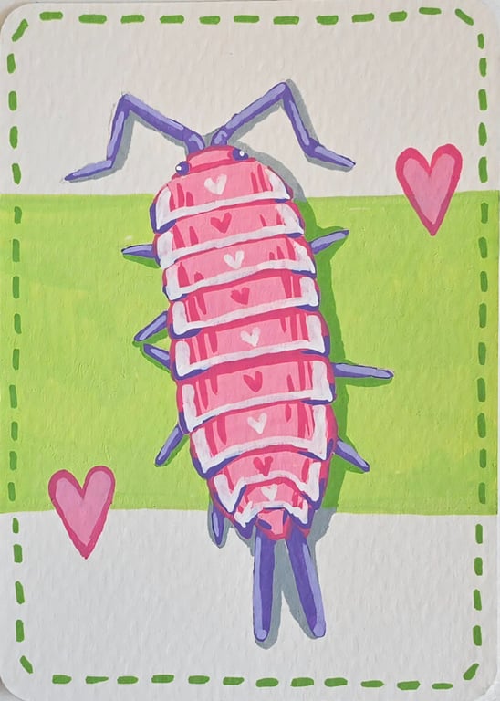 Isopod - Entemology - ACEO
