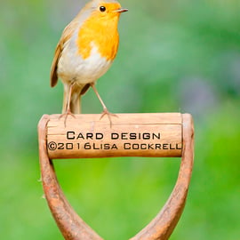 Exclusive My Garden Robin Greetings Card