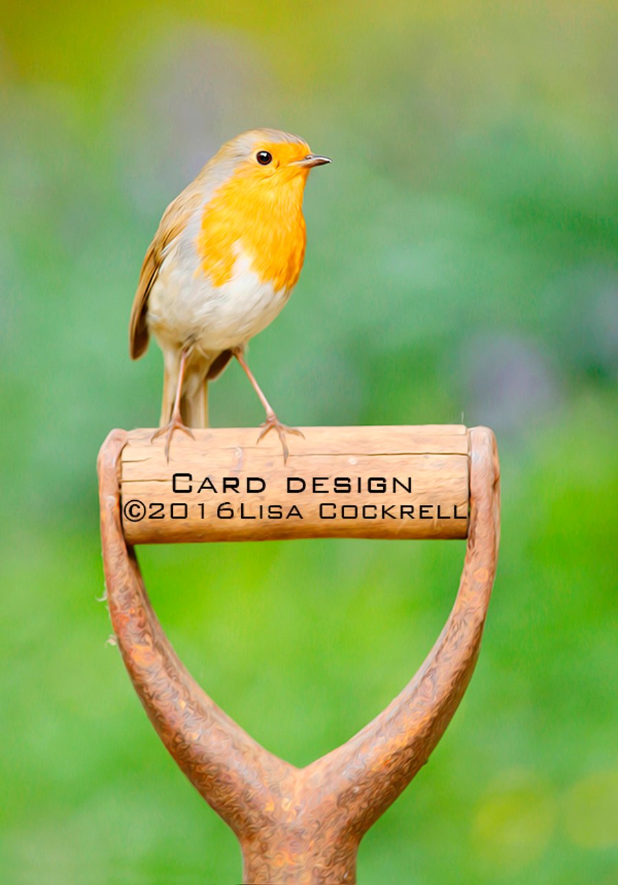 Exclusive My Garden Robin Greetings Card