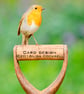 Exclusive My Garden Robin Greetings Card - Image 1