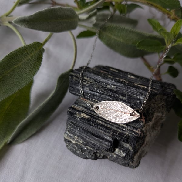 Silver sage leaf pendant with necklace