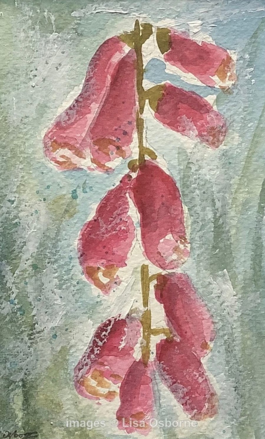 Foxgloves -  original watercolour painting of wild flowers