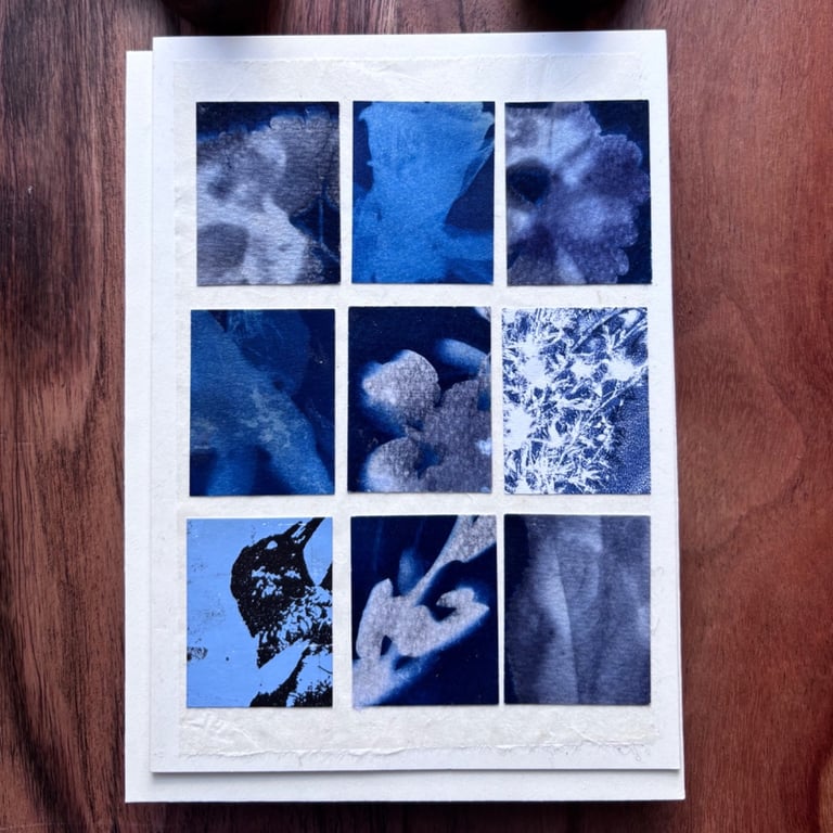 Blue Array 3 - Cyanotypes & Acrylic Print Cards - with envelopes