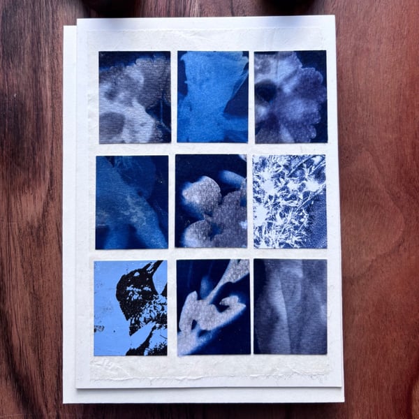 Blue Array 3 - Cyanotypes & Acrylic Print Cards - with envelopes