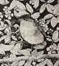 Robin.  Signed print. Bird. Gardens. Wildlife - Image 3