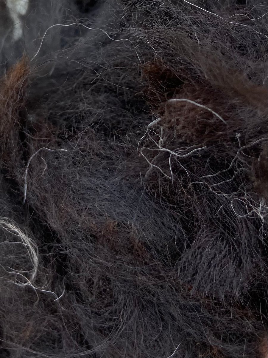 Unprocessed Alpaca Fibre - 50g - Black