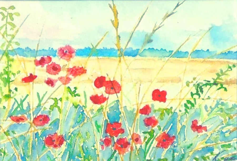Framed  Field Poppies Original Watercolour Painting