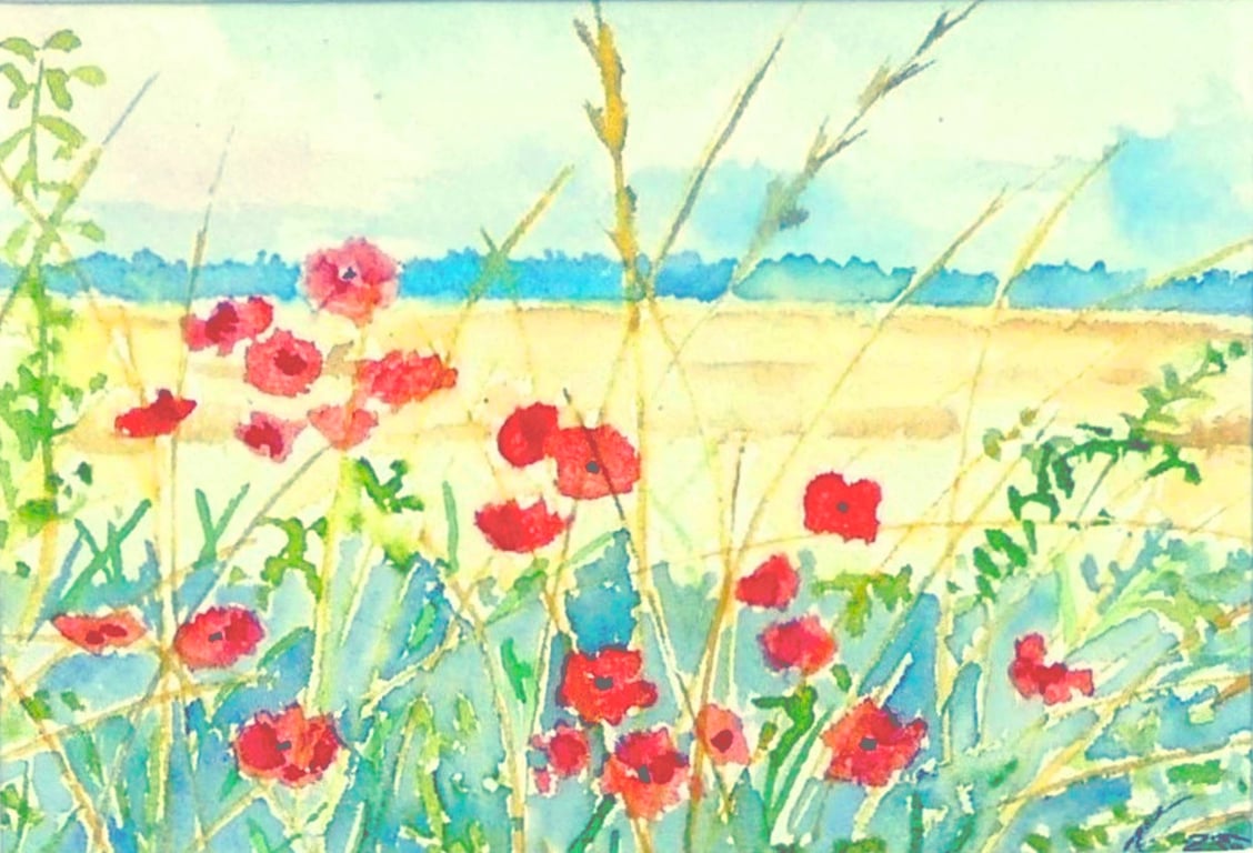 Framed  Field Poppies Original Watercolour Painting
