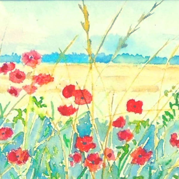 Framed  Field Poppies Original Watercolour Painting