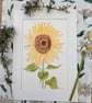Summer Seconds Sunflower hand-painted original watercolour painting A4 mounted 