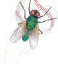 Fly Ball, Sport and a Fly. Original Painting - Image 4