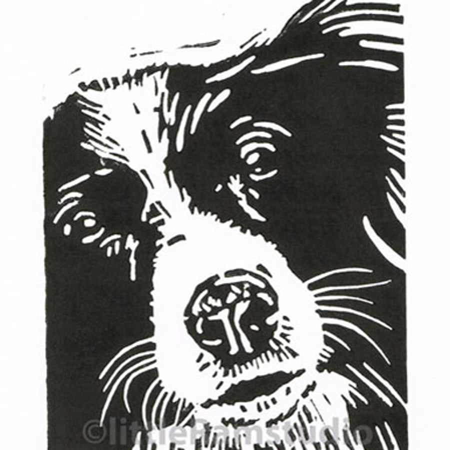 Collie Dog - Dog Art - Original Hand Pulled Linocut Print