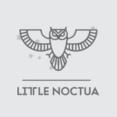 Little Noctua