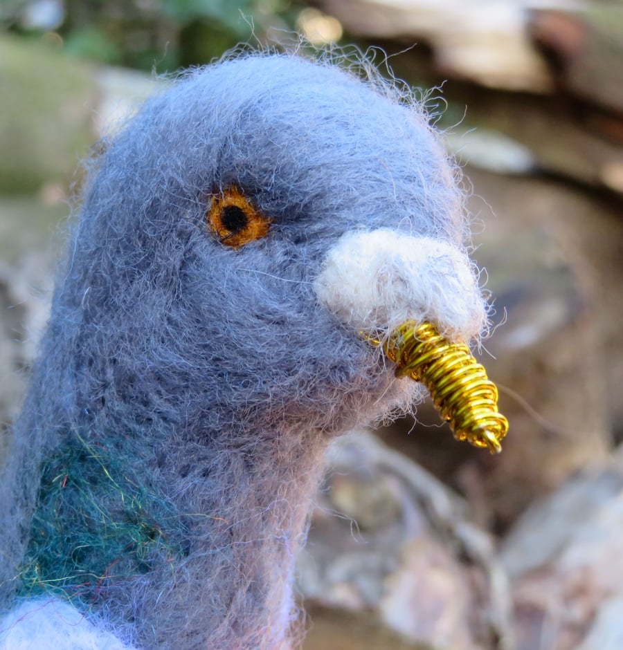 Needle felted Wood pigeon sculpture