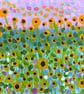 Field of Sunflowers Mini Original Painting