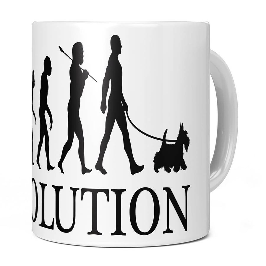 Sealyham Terrier Evolution 11oz Coffee Mug Cup - Perfect Birthday Gift for Him o