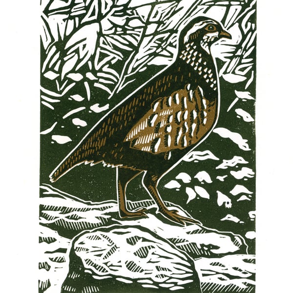 Partridge two-colour linocut print