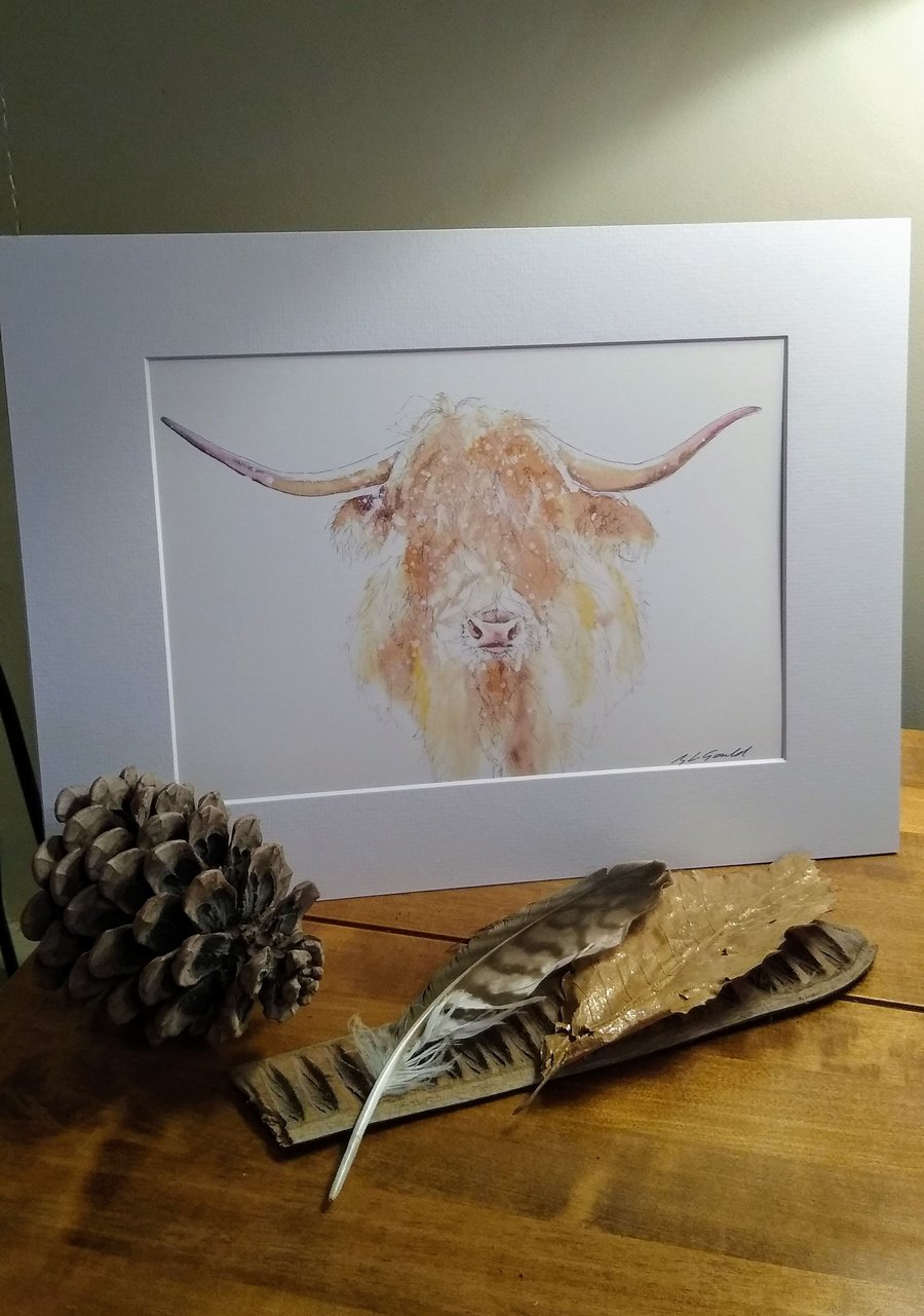 A4 or A3 signed Art Print, Highland Cow 