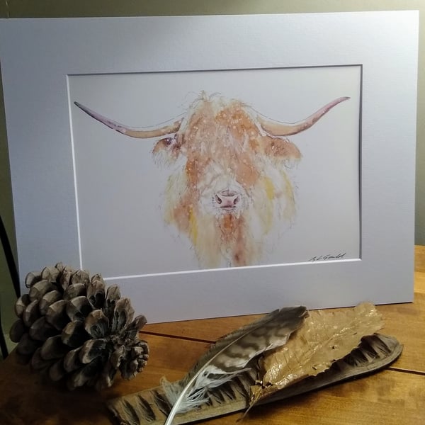 A4 or A3 signed Art Print, Highland Cow 