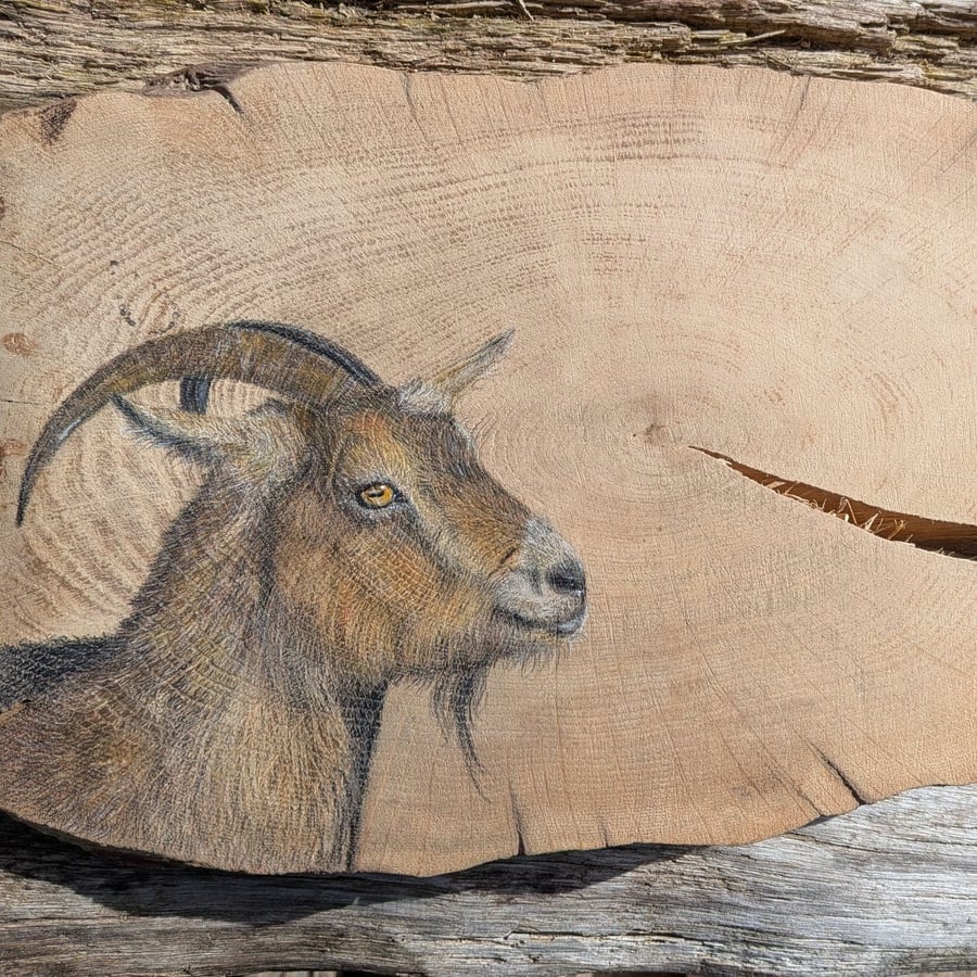 Goat Painting on Reclaimed Wood