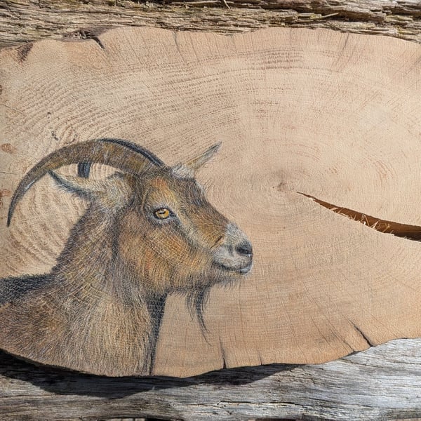 Goat Painting on Reclaimed Wood