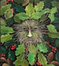 Green Man Tree Spirit