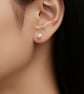 4mm Button Freshwater Pearl Sterling Silver Stud Earrings