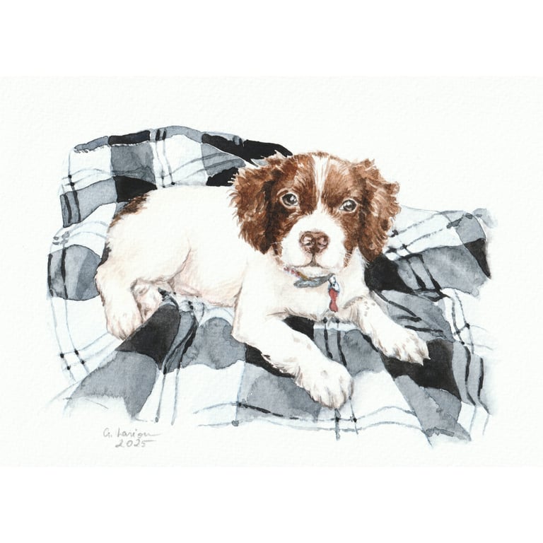 Custom A5 Pet Portrait WATERCOLOUR PAINTING