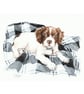 Custom A5 Pet Portrait WATERCOLOUR PAINTING - Image 2