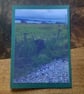 Handmade greeting photo card 'Cow on Iona'