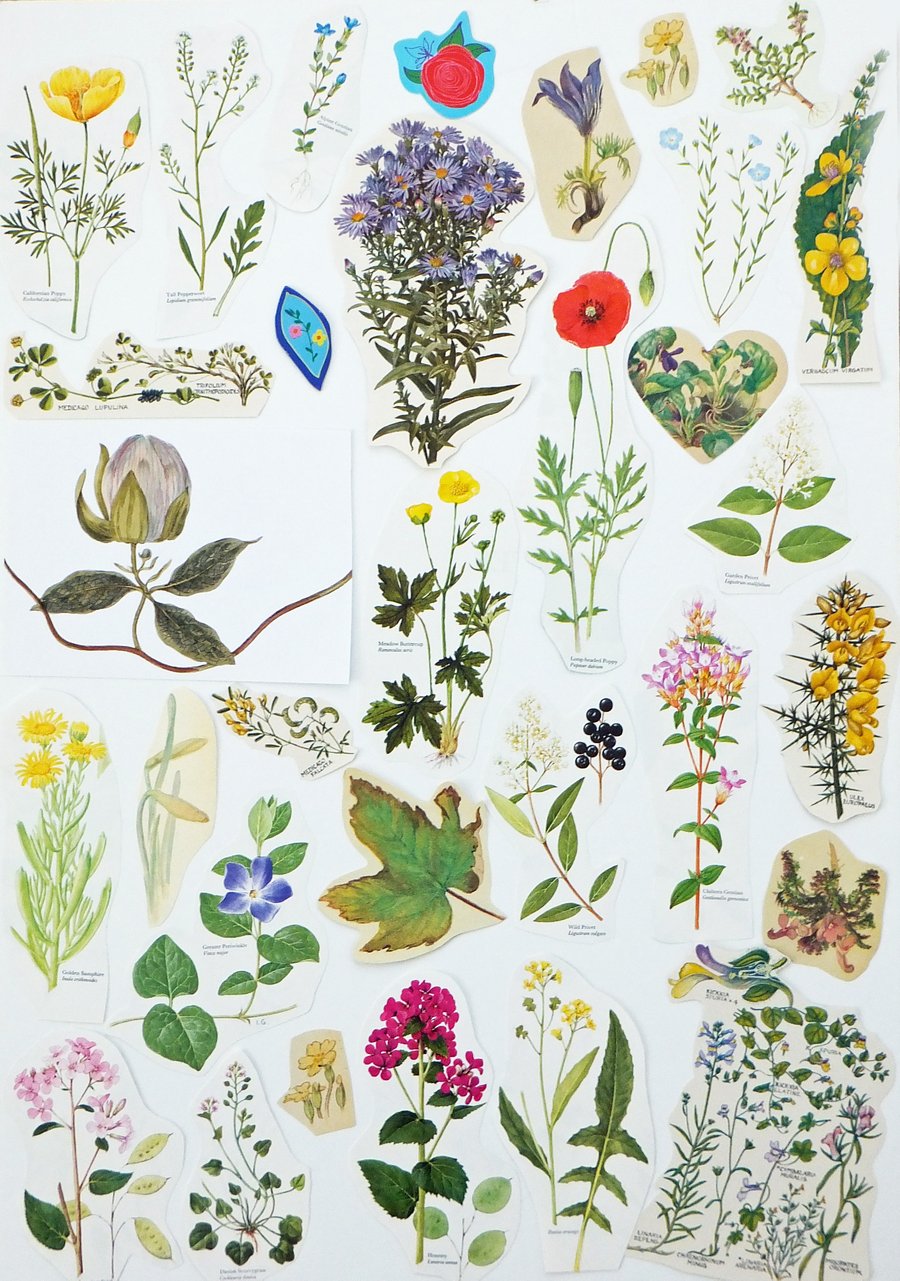 Paper Ephemera Pack - Flowers - Crafting Supplies