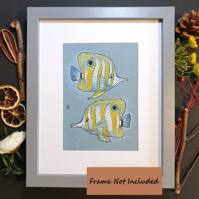 Copper-Banded Butterfly Fish - Original drawing , fish artwork