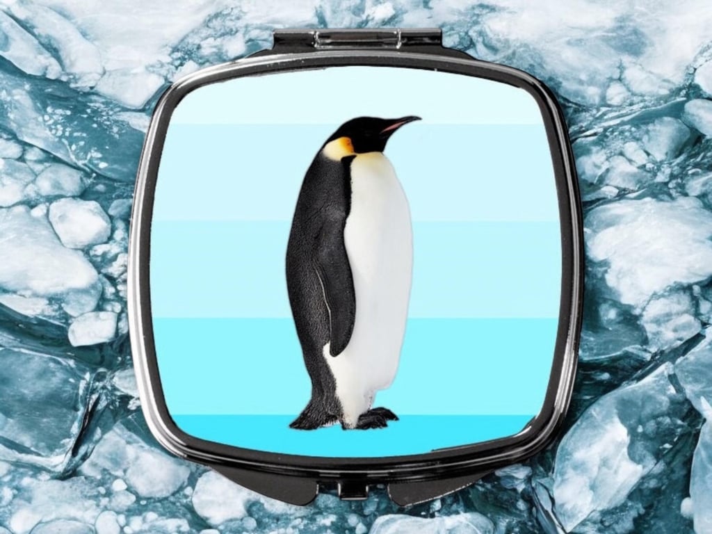 Penguin Compact mirror