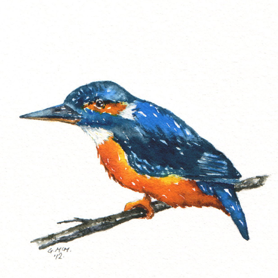 Watercolour sketch - Kingfisher