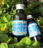 Magical Mouse Facial Elixir, Face Serum, Vegan Face Oil - 10ml amber bottle